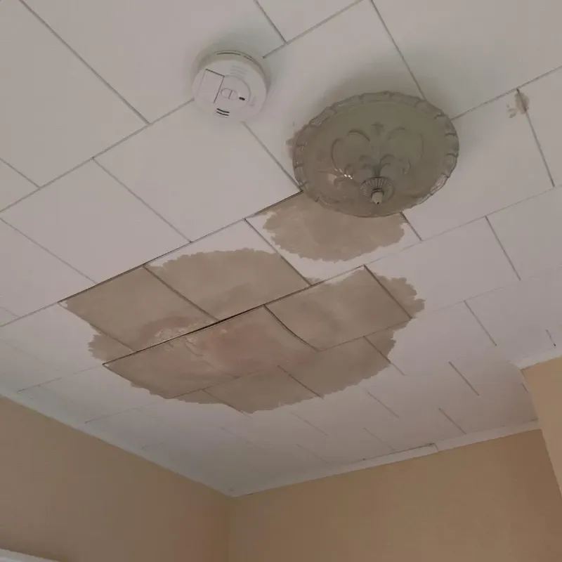 Ceiling Water Damage Repair in Barnum Island, NY